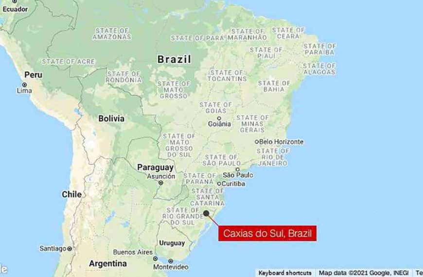 Brazilian police bust ‘international scandal’ in horse meat racket