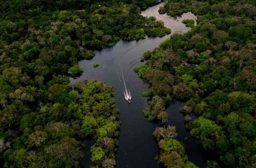 Brazil launches plan to monitor Amazon rainforest loss